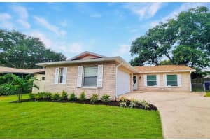 1902 BRIARWOOD STREET, DUNEDIN, FL 34698 - MLS#MFRTB8445412