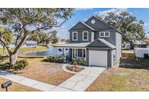 11017 SPRINGRIDGE DRIVE, TAMPA, FL 33624 - MLS#MFRTB8445421