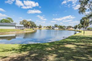 11017 SPRINGRIDGE DRIVE, TAMPA, FL 33624 - MLS#MFRTB8445421