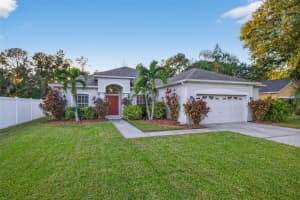 11738 SUMMER SPRINGS DRIVE, RIVERVIEW, FL 33579 - MLS#MFRTB8445448