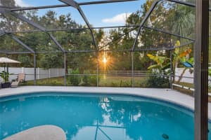 11738 SUMMER SPRINGS DRIVE, RIVERVIEW, FL 33579 - MLS#MFRTB8445448
