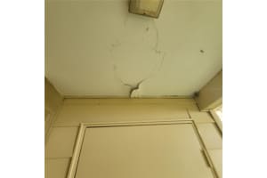 2224 39TH DRIVE, GAINESVILLE, FL 32607 - MLS#MFRTB8445461