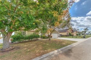6537 CREWS VUE LOOP, LAKELAND, FL 33813 - MLS#MFRTB8445467