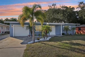 1226 ROBIN HOOD LANE, DUNEDIN, FL 34698 - MLS#MFRTB8445470