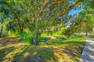 3287 COBBS DRIVE, PALM HARBOR, FL 34684 - MLS#MFRTB8445492