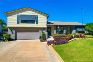 4124 DELLBROOK DRIVE, TAMPA, FL 33624 - MLS#MFRTB8445510