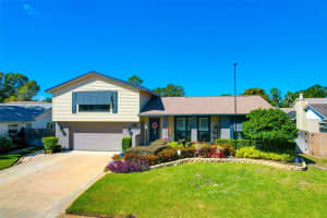 4124 DELLBROOK DRIVE, TAMPA, FL 33624 - MLS#MFRTB8445510