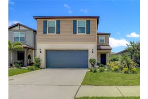 30344 MARQUETTE AVE, WESLEY CHAPEL, FL 33545 - MLS#MFRTB8445512