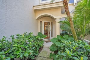 306 FAN PALM COURT, ST PETERSBURG, FL 33703 - MLS#MFRTB8445517