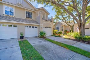 306 FAN PALM COURT, ST PETERSBURG, FL 33703 - MLS#MFRTB8445517