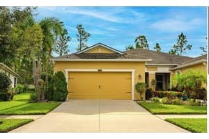 11714 WROUGHT PINE LOOP, RIVERVIEW, FL 33569 - MLS#MFRTB8445539