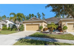 11714 WROUGHT PINE LOOP, RIVERVIEW, FL 33569 - MLS#MFRTB8445539