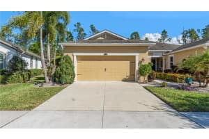 11714 WROUGHT PINE LOOP, RIVERVIEW, FL 33569 - MLS#MFRTB8445539