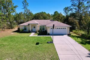 9171 PARADISEA DRIVE, CITRUS SPRINGS, FL 34433 - MLS#MFRTB8445543
