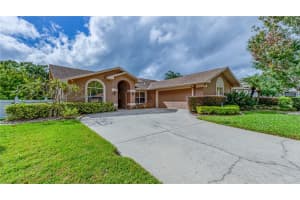 1345 KINSMERE DRIVE, TRINITY, FL 34655 - MLS#MFRTB8445564