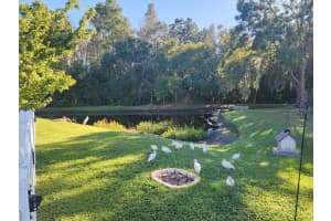 1345 KINSMERE DRIVE, TRINITY, FL 34655 - MLS#MFRTB8445564