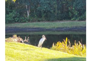 1345 KINSMERE DRIVE, TRINITY, FL 34655 - MLS#MFRTB8445564