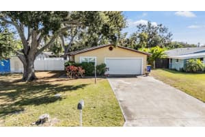10502 Orange Blossom Ln, SEMINOLE 10502 Orange Blossom Ln, SEMINOLE