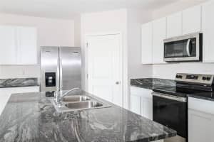 34029 SORREL MINT DRIVE, WESLEY CHAPEL, FL 33543 - MLS#MFRTB8445602