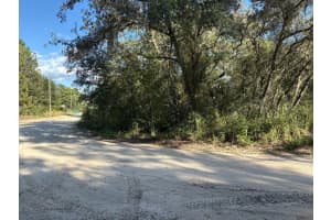 2909 EASTWOOD STREET, INVERNESS, FL 34452 - MLS#MFRTB8445606