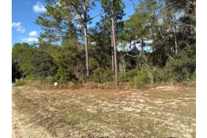 2909 EASTWOOD STREET, INVERNESS, FL 34452 - MLS#MFRTB8445606