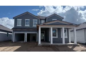 30129 MISTY PINES ROAD, MOUNT DORA, FL 32757 - MLS#MFRTB8445626