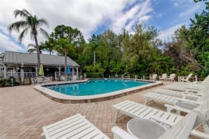 2599 DOLLY BAY DRIVE, PALM HARBOR, FL 34684 - MLS#MFRTB8445641