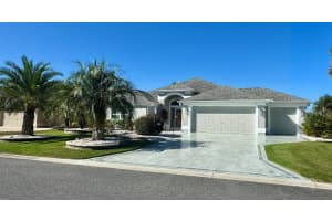 1371 OWL DRIVE, THE VILLAGES, FL 32163 - MLS#MFRTB8445642