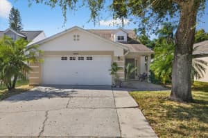 8459 HAWBUCK STREET, TRINITY, FL 34655 - MLS#MFRTB8445645