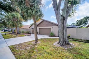 2714 JEFFREY DRIVE, PALM HARBOR, FL 34684 - MLS#MFRTB8445647