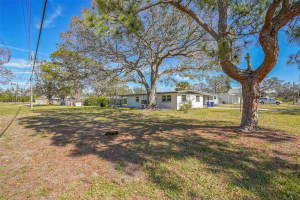 131 80TH AVENUE, ST PETERSBURG, FL 33702 - MLS#MFRTB8445671