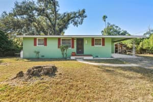 906 STANBERRY DRIVE, BRANDON, FL 33511 - MLS#MFRTB8445679