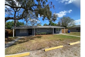 12319 9TH STREET, TAMPA, FL 33612 - MLS#MFRTB8445689