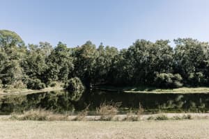 14115 VILLAGE VIEW DRIVE, TAMPA, FL 33624 - MLS#MFRTB8445694