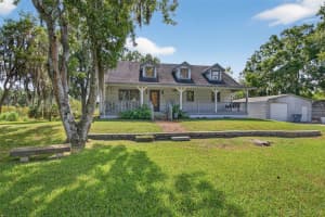 5625 DREXEL ROAD, LAND O LAKES, FL 34638 - MLS#MFRTB8445697