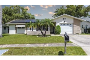 2955 Briar Cliff Dr, PALM HARBOR
