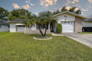 2955 BRIAR CLIFF DRIVE, PALM HARBOR, FL 34684 - MLS#MFRTB8445711