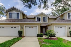 6407 SPRING OAK COURT, TAMPA, FL 33625 - MLS#MFRTB8445759