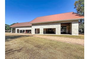 12408 KELSO ROAD, THONOTOSASSA, FL 33592 - MLS#MFRTB8445807