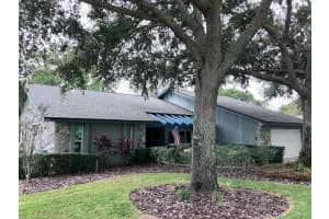 1378 ENISWOOD PARKWAY, PALM HARBOR, FL 34683 - MLS#MFRTB8445820