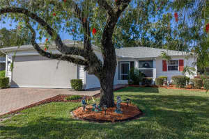 29235 Princeville Dr, SAN ANTONIO