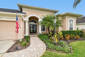 11904 WANDSWORTH DRIVE, TAMPA, FL 33626 - MLS#MFRTB8445860