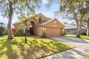 10429 SPRINGROSE DRIVE, TAMPA, FL 33626 - MLS#MFRTB8445863
