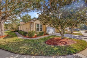3601 SAVANNAH LAKE PLACE, VALRICO, FL 33596 - MLS#MFRTB8445885