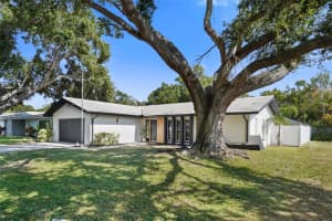 1211 STONY BROOK LANE, DUNEDIN, FL 34698 - MLS#MFRTB8445925