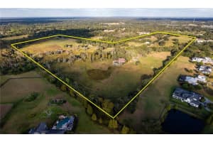 12537 Tomar Dr, THONOTOSASSA 12537 Tomar Dr, THONOTOSASSA