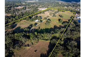 12537 TOMAR DRIVE, THONOTOSASSA, FL 33592 - MLS#MFRTB8445951