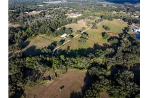 12537 TOMAR DRIVE, THONOTOSASSA, FL 33592 - MLS#MFRTB8445951