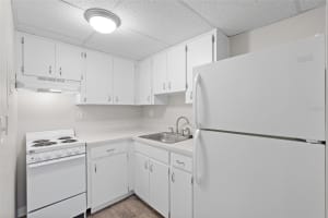 411 1ST AVENUE, ST PETERSBURG, FL 33701 - MLS#MFRTB8445975