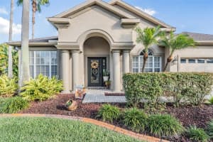 27239 FIREBUSH DRIVE, WESLEY CHAPEL, FL 33544 - MLS#MFRTB8445987